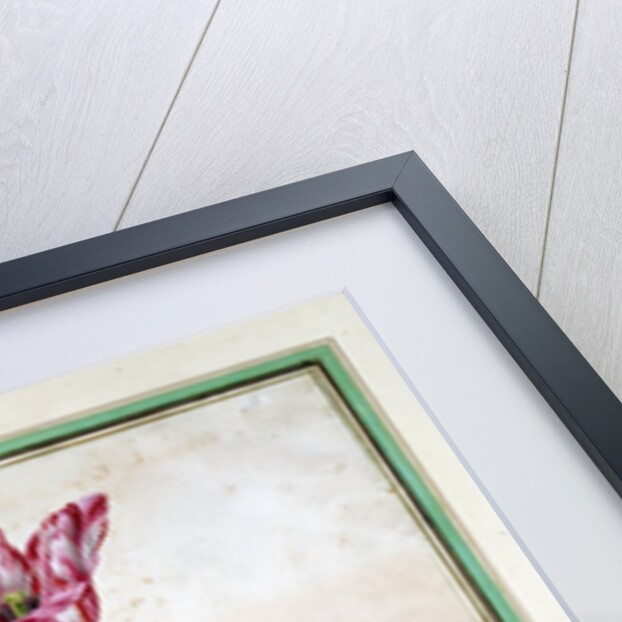 Tulips by Johan Jakob Walther