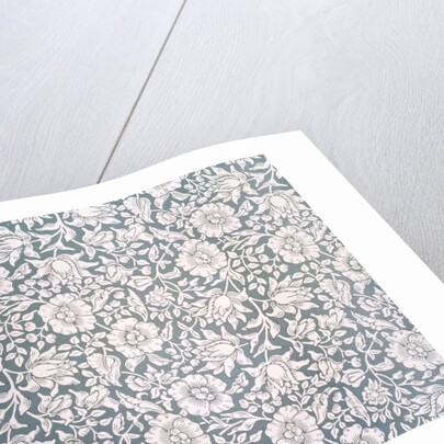 Mallow wallpaper specimen by Kate Faulkner