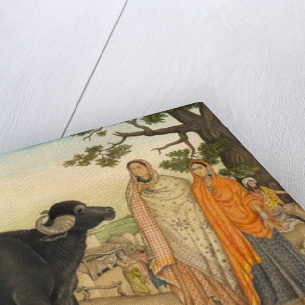 Two women and a buffalo in the village of Rania by Unknown