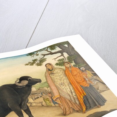 Two women and a buffalo in the village of Rania by Unknown