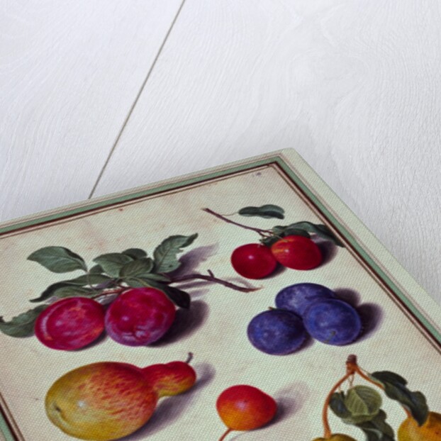 Plums by Apples and Pears