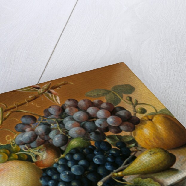 Still Life by Unknown