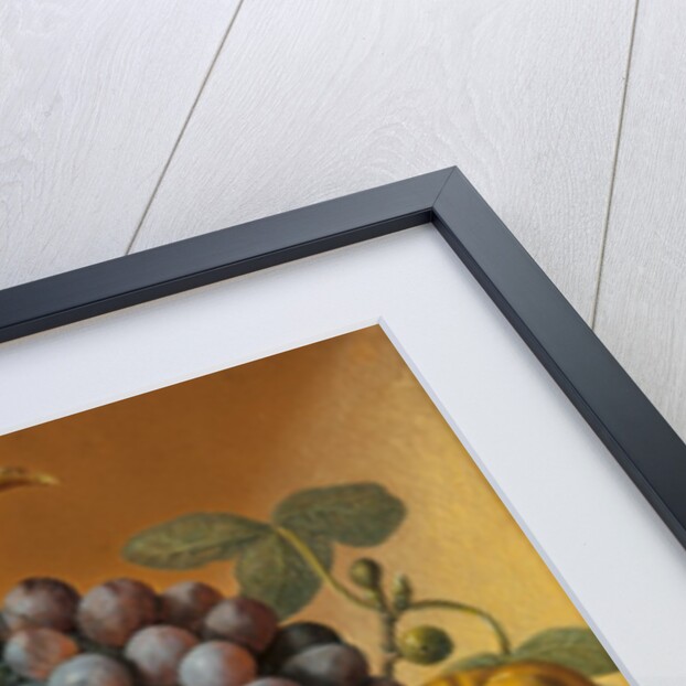 Still Life by Unknown