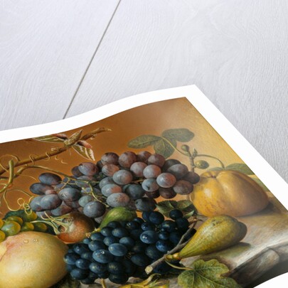 Still Life by Unknown