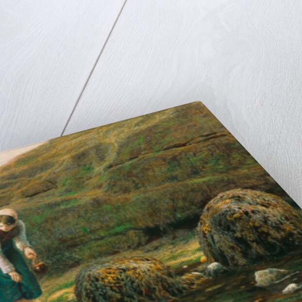 The Winkle Collector by John Dawson Watson