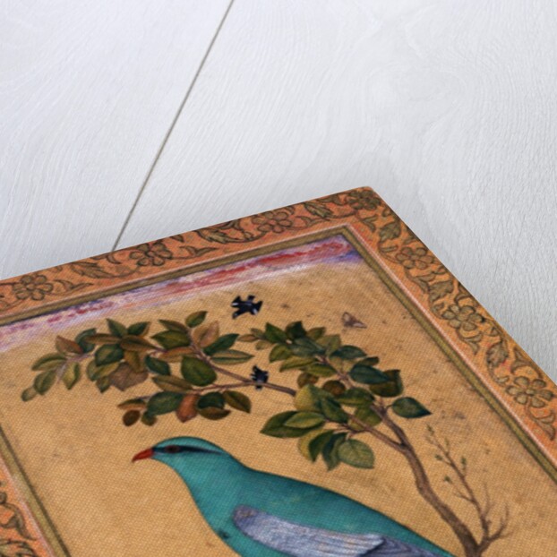 A Green Majore on a tree-trunk by Riza 'Abbasi