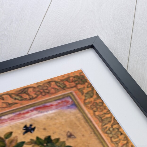 A Green Majore on a tree-trunk by Riza 'Abbasi