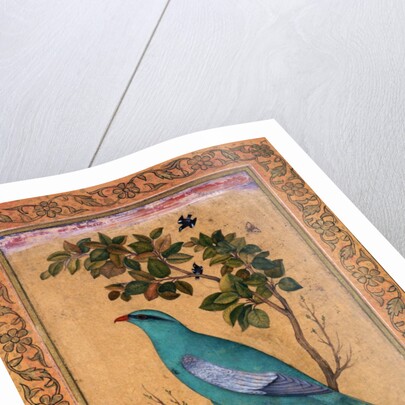 A Green Majore on a tree-trunk by Riza 'Abbasi