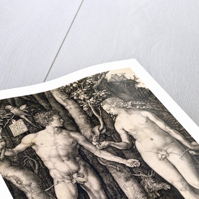 Adam and Eve by Albrecht Durer