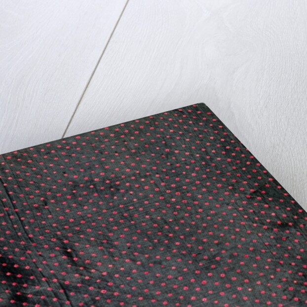 Sari, detail by Unknown