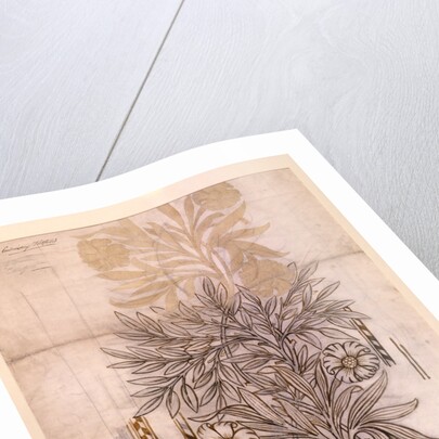 Potted Plant drawing of a dahlia with lush leaves by William Morris