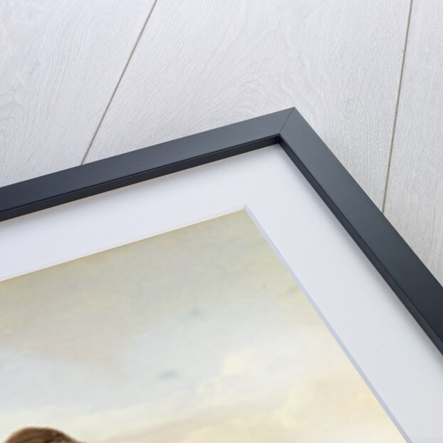 A Fisher Boy by Alfred Downing Fripp