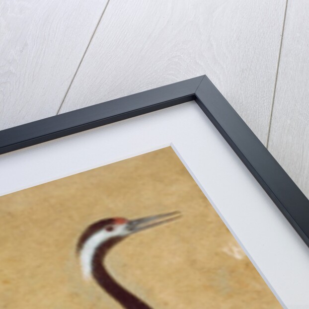 A pair of Saras birds by Unknown