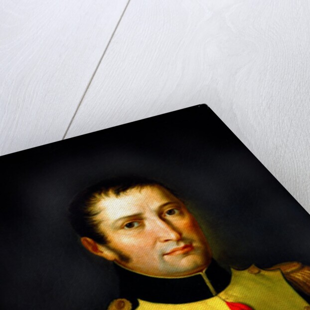 Joseph Bonaparte by Francois-Pascal-Simon Gerard