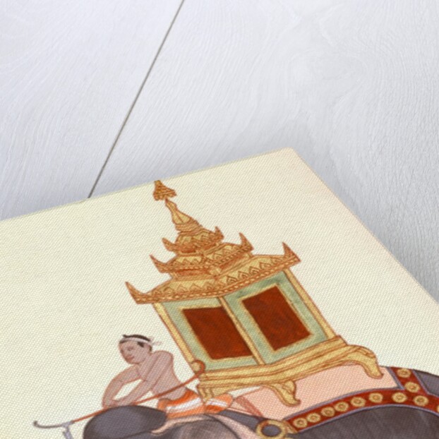 The King's elephant, Company Painting by Unknown