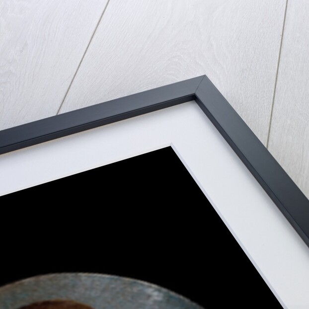 An Anglo-Indian lady from Bengal by Unknown