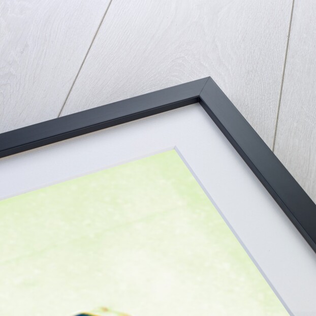 A hookah-bearer by Shaikh Muhammad Amir