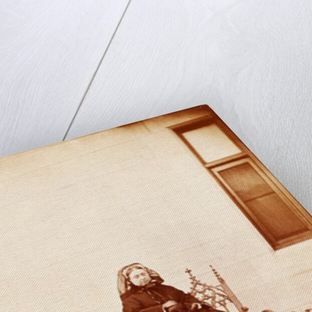 Queen Victoria in a garden by W & D Downey