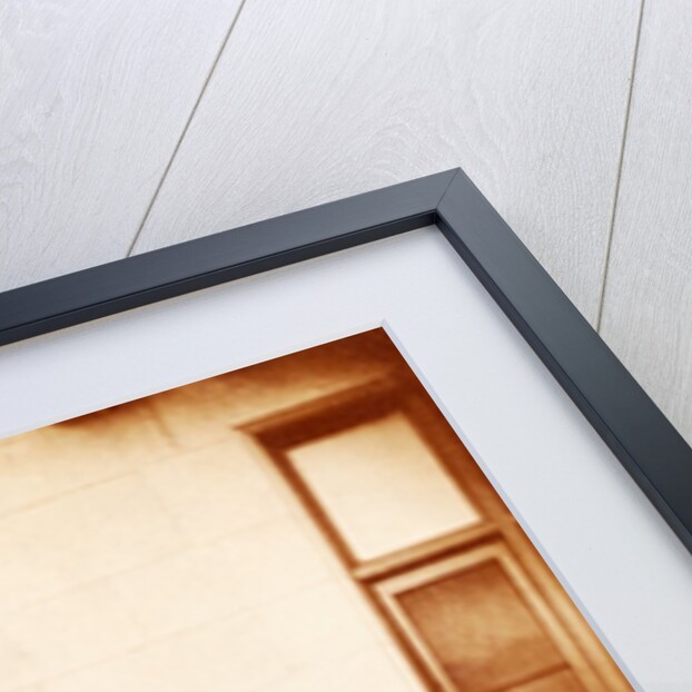 Queen Victoria in a garden by W & D Downey