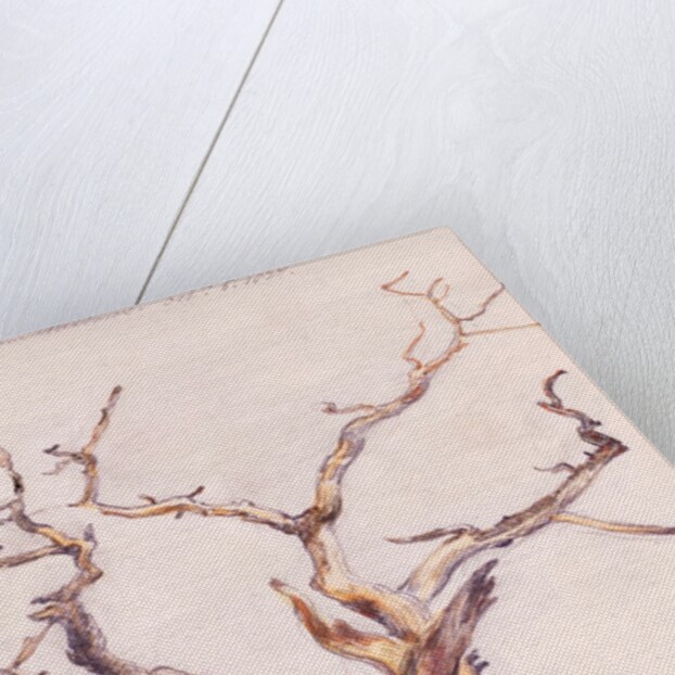 Oak in Deadham Meadows by John Constable