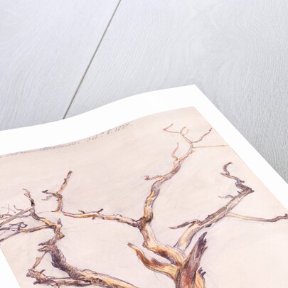 Oak in Deadham Meadows by John Constable