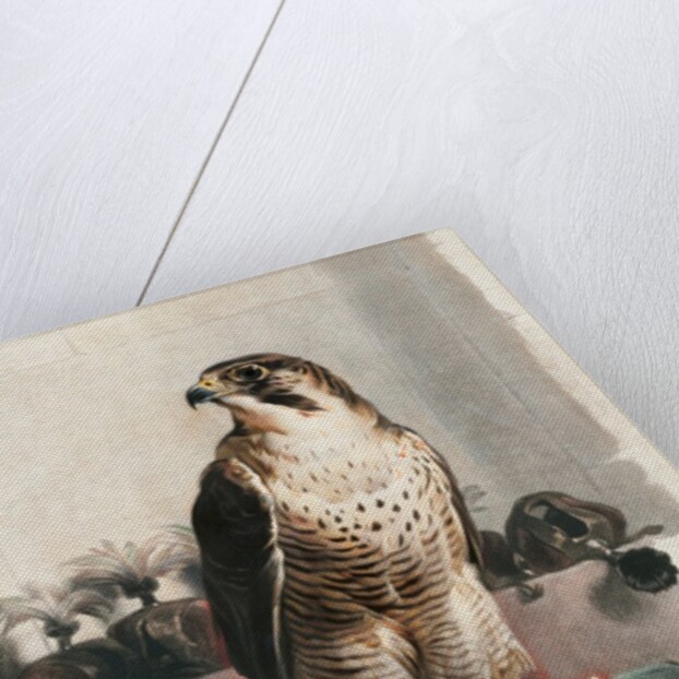 The Hawk by Landseer