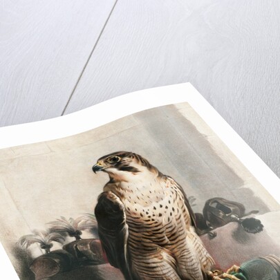 The Hawk by Landseer