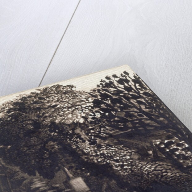 A Village Church Among Trees by Samuel Palmer