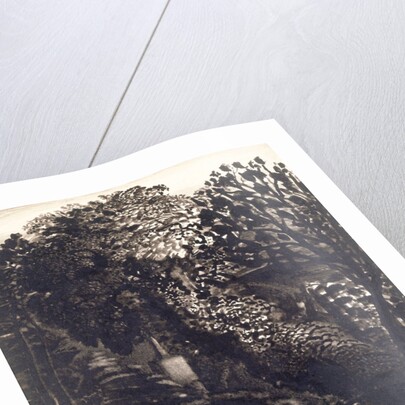 A Village Church Among Trees by Samuel Palmer