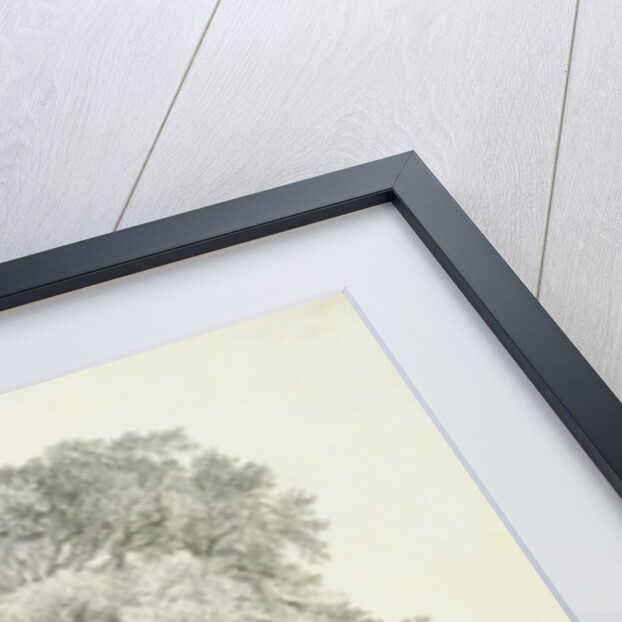 Elm Trees in Old Hall Park by John Constable