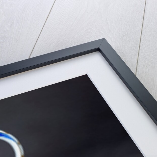 Ewer and Basin by Unknown