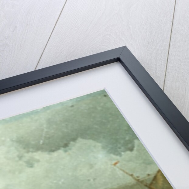 The Shipwrecked Mariner by F.L.T. Francia