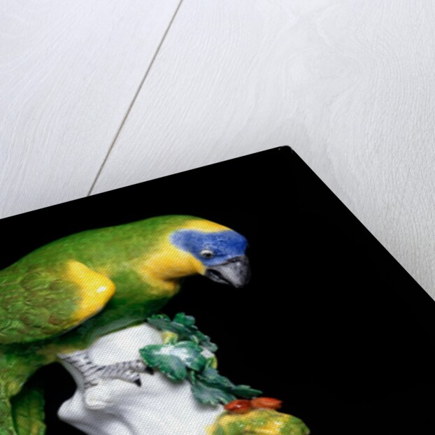 Parakeet by Johann Joachim Kändler