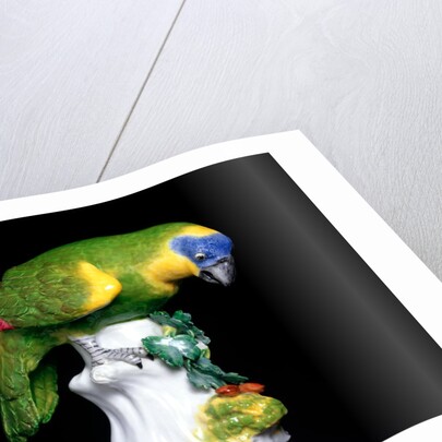 Parakeet by Johann Joachim Kändler