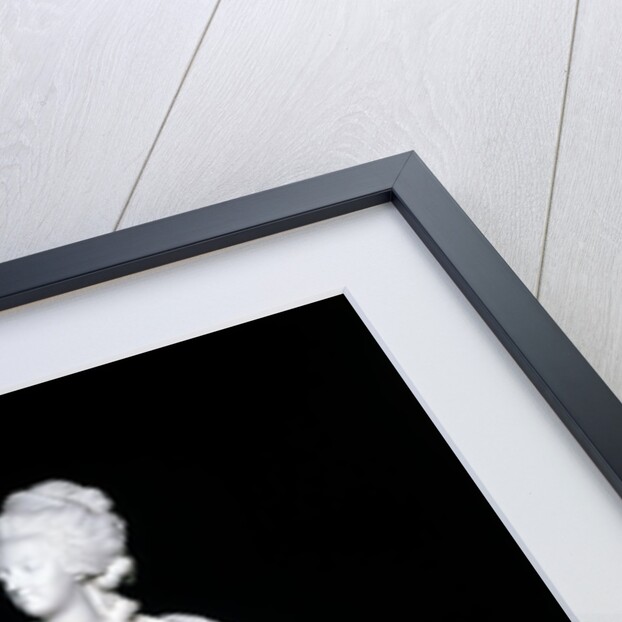 Louis XIV and Marie Antoinette by Unknown