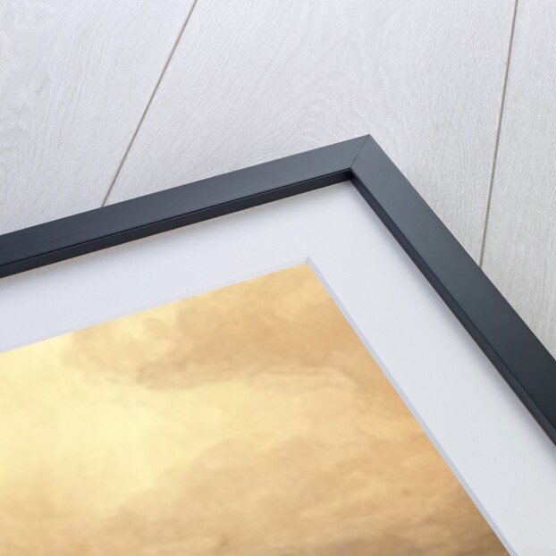 A Salt Marsh by William Turner