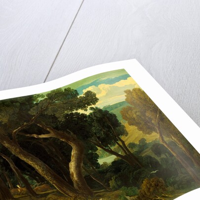 Wichwood Forest by William Turner