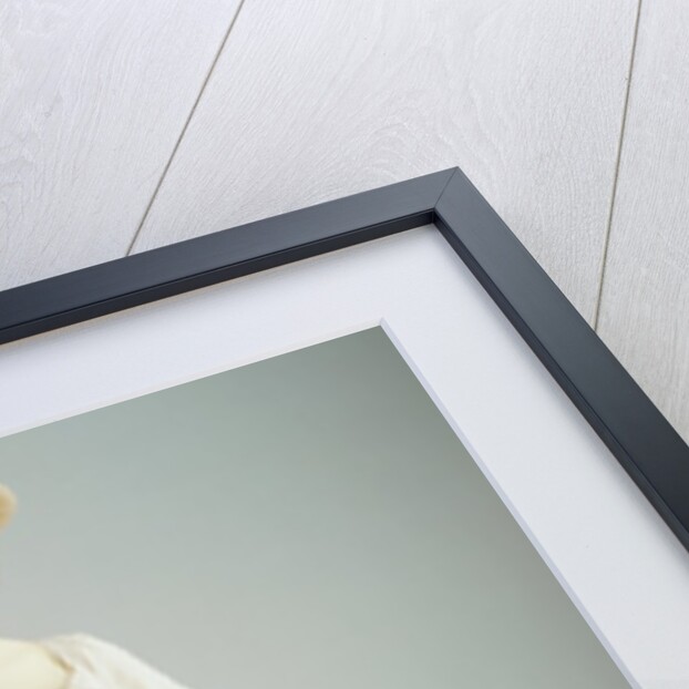 Evening Dress and shawl. France, early 19th century by Unknown