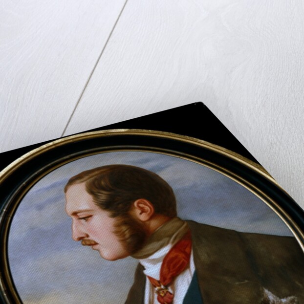 Prince Albert by Francis Wollaston Moody