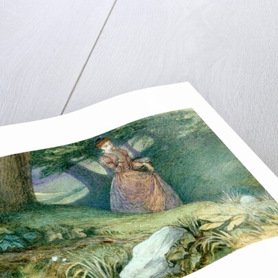 Wood Elves Watching a Lady by Richard Doyle