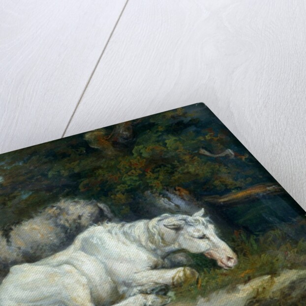 Horse and Donkey by James Ward