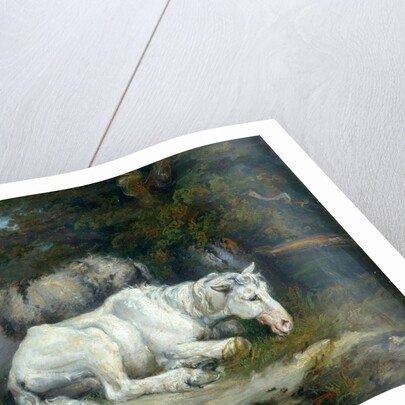 Horse and Donkey by James Ward