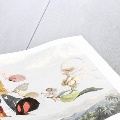 The Fairy Queen takes an airy drive in a light carriage by Richard Doyle