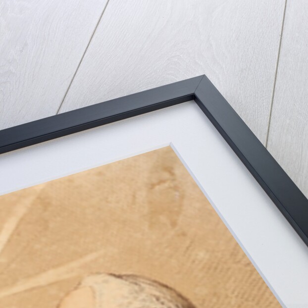 A Connoisseur Examining a Cooper by James Gillray