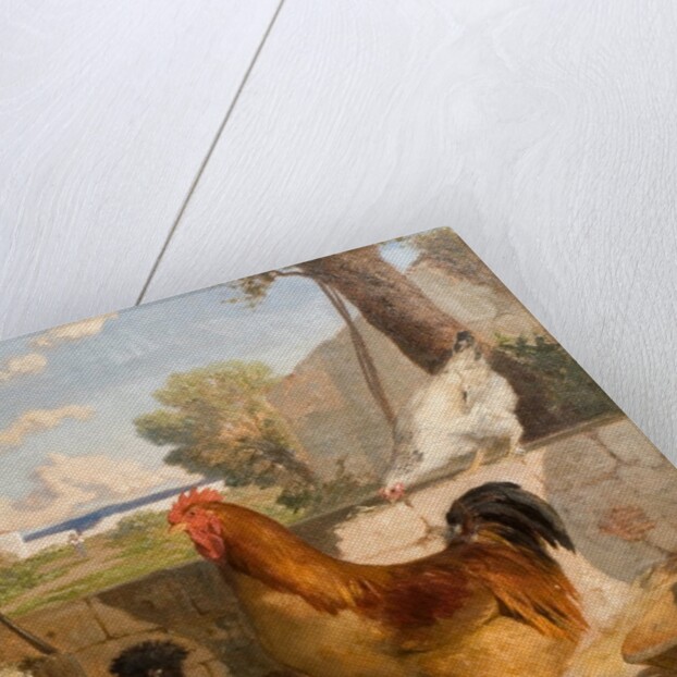 Poultry by François Bocion