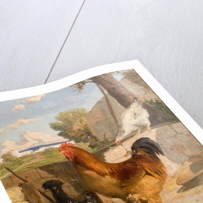 Poultry by François Bocion