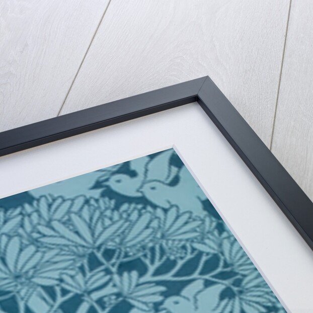 The Savaric by Anonymous