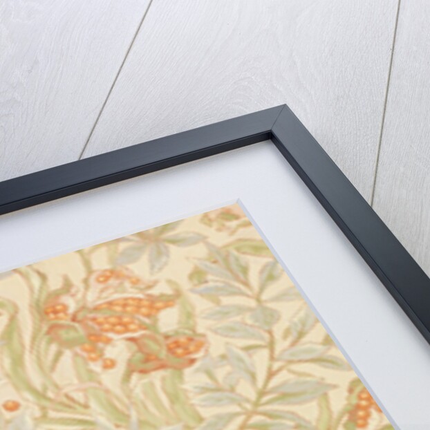 Wallpaper by Charlotte Horne Spiers