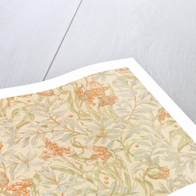 Wallpaper by Charlotte Horne Spiers