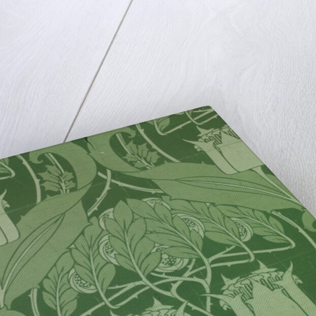Floral pattern by Harry Napper
